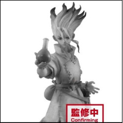 Dr.Stone Figure Of Stone...