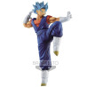 Dragon Ball Super - Son Goku Fes! Vol.14 Super Saiyan God Vegito
