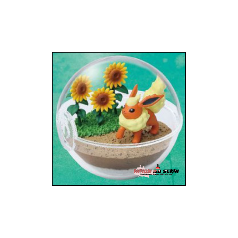 Terrarium Pokemon - Pyroli Collection 8