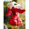 Inuyasha statuette PVC Tenitol Inuyasha